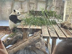 -无锡动物园·太湖欢乐园