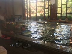 -楼观道温泉酒店