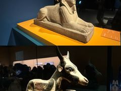 -上海博物馆