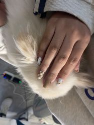 -Touch Nail·品质·美甲美睫