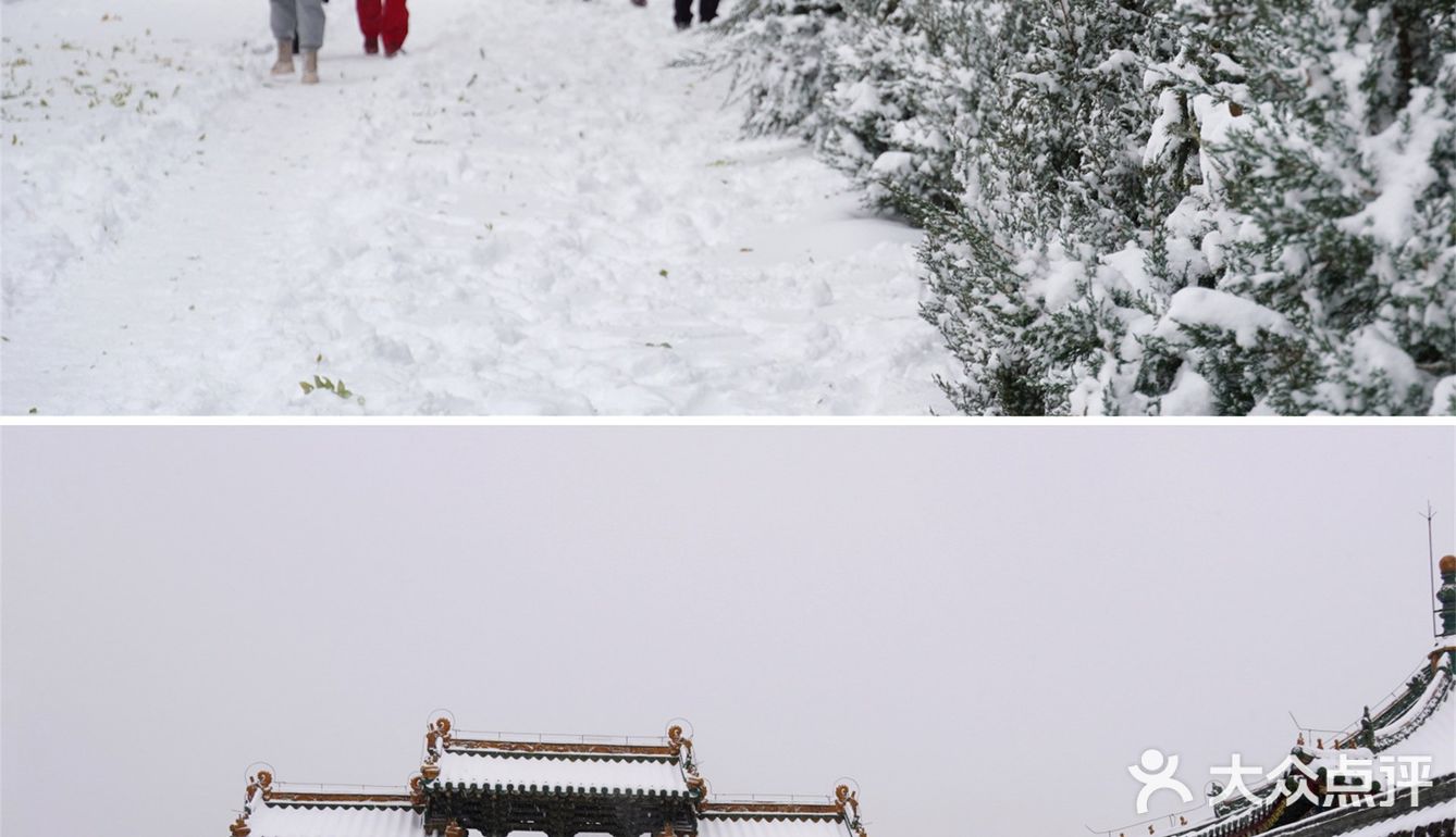 沈阳冬天的第一场雪｜大雪让沈城变成了盛京