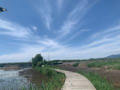 -野鸭湖国家湿地公园