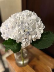 -ROYEA茹彦祛痘·问题肌肤修护中心