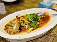 -欢乐海岸美食联盟