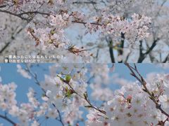 -龙美术馆(西岸馆)