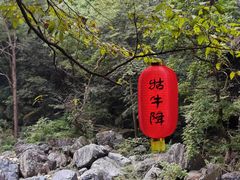 -石台牯牛降景区