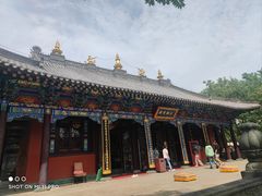 -护国法轮寺