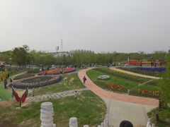 -金卉庄园