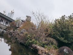 -梅园