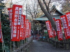 -井之头恩赐公园