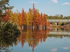 -白鹭湾湿地公园