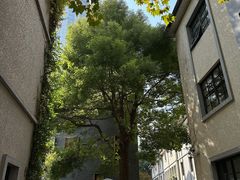 -徐家汇源景区-衡山坊