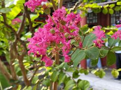 -恭王府博物馆
