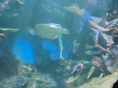 -华夏文旅海洋公园