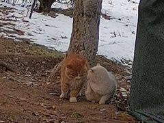 -大兴滨河森林公园