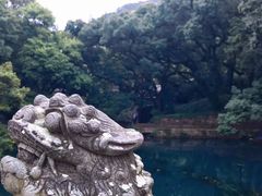 -法雨寺餐厅