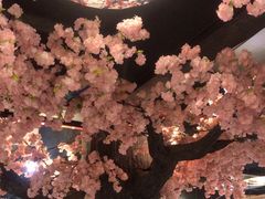 -渝厨生态火锅(合川区府店)