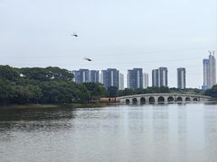 -顺峰山公园