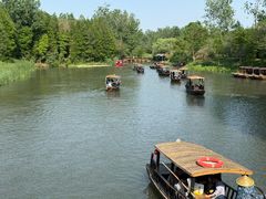 -溱湖国家湿地公园