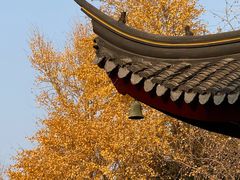 -西园寺素食(西园弄戒幢律寺店)