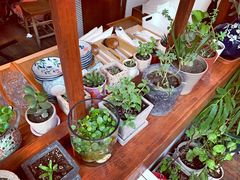 -铃木食堂(帽儿胡同店)