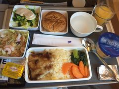 -新加坡航空公司(ION)