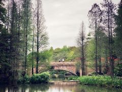 -云溪植物园