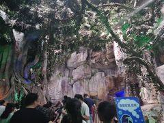 -泉城欧乐堡海洋极地世界