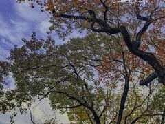 -南通濠河风景名胜区