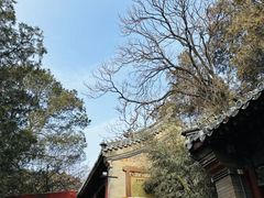 -潭柘寺景区
