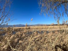 -野鸭湖国家湿地公园
