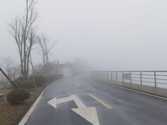 -江南天池
