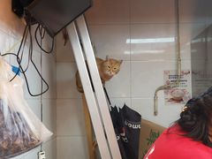 -胡仁根胡记炸炸炸