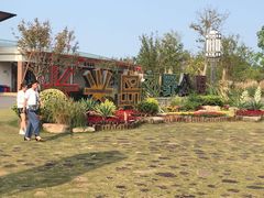 -上海长兴岛郊野公园