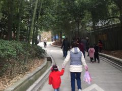 -永康小长城
