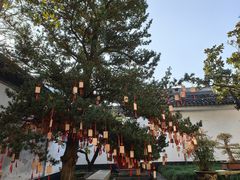-东山雕花楼