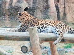 -杭州野生动物世界