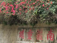 -友谊关景区