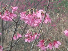 -福清灵石山国家森林公园
