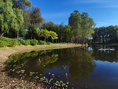 -东郊湿地公园