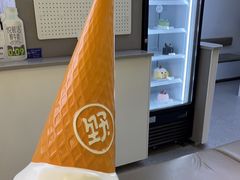 -野人先生现做冰淇淋(北京悠唐购物中心店)