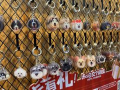 -和它·交个朋友·狗咖猫咖(爱琴海店)