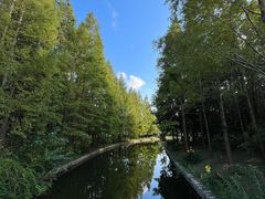 -上海滨江森林公园