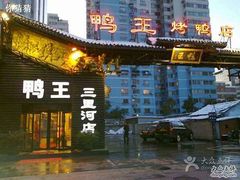 -鸭王烤鸭店(三里河店)