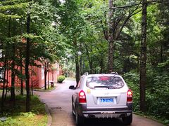 -洛阳白云山景区