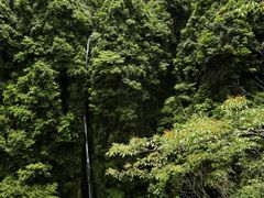 -矮寨·十八洞·德夯大峡谷景区