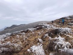 -秦岭风景区