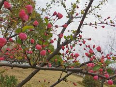 -武汉马哥孛罗酒店