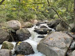 -云岫谷游猎自然风景区