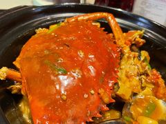 黄金膏蟹焗走地鸡-皇朝会.经典传统粤菜(外滩店)